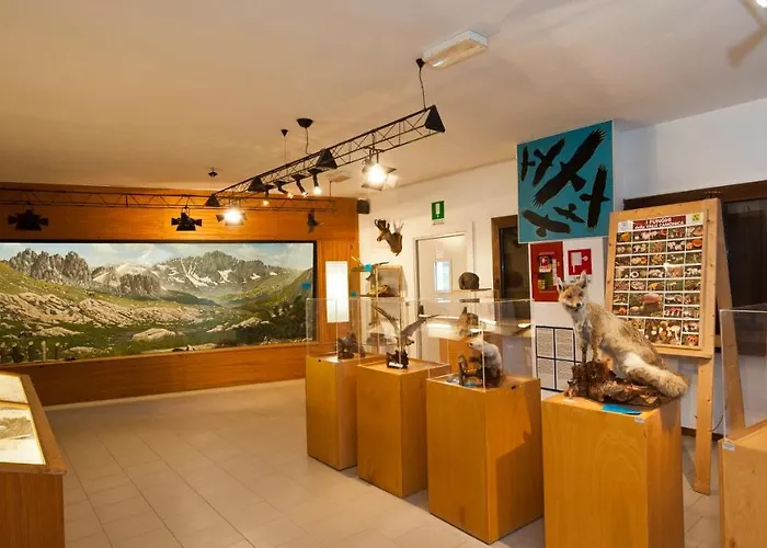 Casa Del Parco Dell'adamello Di Vezza dʼOglio